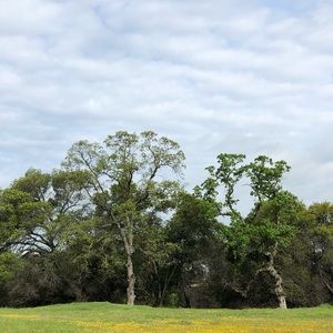 Meet your Posher, Cheyenne